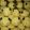 Cooksnap dari rizkaika untuk resep Fatty Sheep German Cookies (Cookies Lucu)