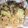 Aqsa mukhtiar's cooksnap of when they made Mutton aloo Biryani meray style main.