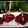 Cooksnap dari Rosida van Aalten untuk resep Red velvet puratos