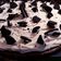 El cooksnap de lizz cuando hizo Torta Brownie con oreo y dulce de leche.