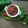 Alpa Pandya's cooksnap of when they made વેજ પાલક ખીચડી (Veg Palak Khichdi Recipe In Gujarati).