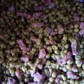 El cooksnap de modesto nieto arribas cuando hizo Guisantes con jamón fácil.