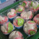 Cooksnap dari Elsa untuk resep Bolkus Mekar NO Air Soda/BP Kocok All in One + Foto step2