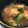 陳蛋糕 的 時蔬蟹味羹 cooksnap