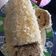 Cooksnap dari Maria Veronica untuk resep Roll cake almond flour #ketopad