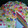 Cooksnap dari Dessy Pratiwi untuk resep RAINBOW KUKUS