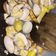 Cooksnap dari mega.ms untuk resep Kerang Rebus