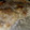 El cooksnap de Jenny_Ccs cuando hizo Coliflor gratinada al horno.