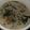 Cooksnap dari Sandra_rif untuk resep Bobor Kangkung Pedas