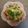 Cooksnap dari dudin rahman untuk resep Oyakodon