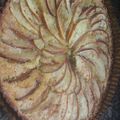El cooksnap de Sol de Ogum cuando hizo Tarta de manzana.