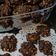 Cooksnap dari rosita zoni untuk resep Choco Almond mede cookies