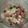 El cooksnap de Marion Vv cuando hizo Ensalada griega.