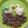 Cooksnap dari Reen untuk resep Pao Kempit / Steamed Bao Buns