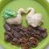 Cooksnap dari Reen untuk resep Pao Kempit / Steamed Bao Buns