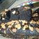 Cooksnap dari diah arumsasi untuk resep Fudgy Brownies