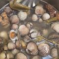 Cooksnap dari mirza arti Nugrahani untuk resep Kerang Dara Masak Sereh