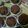 Cooksnap dari Shila Kenzie untuk resep Brownies Kukus Coklat Mekar