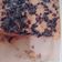 Cooksnap dari Diah cucuw untuk resep Banana bread (steam)