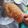 Cooksnap dari ALuna Andrea S Tian untuk resep Corndog: Mozzarella-Sosis (Takaran Sendok) Ide Jualan