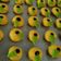 Cooksnap dari ʀᴀᴛɴᴀ ᴀʀᴅɪᴀɴᴛɪ untuk resep Cookies / kue jeruk nutrisari