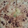 Monu Prajapati का कुकस्नैप जब उन्होंने आलू और मिर्ची का पराठा (aloo aur mirchi ka paratha recipe in Hindi) बनाया था।