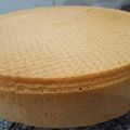 El cooksnap de María Amelia cuando hizo Bizcochuelo de Panadería ultra fácil.