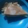 Cooksnap dari Berlian Soewandono untuk resep Kue Lekker Simpel Hanya dengan Teflon