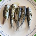El cooksnap de Monica Breakfree cuando hizo Sardinas al horno con ajo, perejil y limón 🍋.