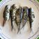 El cooksnap de Monica Breakfree cuando hizo Sardinas al horno con ajo, perejil y limón 🍋.