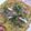 Swati Bharadwaj's cooksnap of when they made ব্রেড অমলেট(bread omelette recipe in bengali).