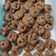 Cooksnap dari putri untuk resep Chewy Chocochips Cookies