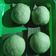 Cooksnap dari DapurUmma untuk resep Bakpao pandan ekonomis isi coklat meskipun sudah dingin tetap lembut
