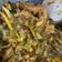 Cooksnap dari Dian Ajeng Maharani untuk resep Tongseng Ayam