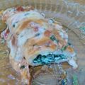 El cooksnap de andilello cuando hizo Canelones de verdura y Ricota.