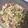 El cooksnap de McRover cuando hizo Ensalada de garbanzos con atún.