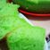 Cooksnap dari Dewi untuk resep Bolu pandan magiccom