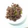 華碩八 的 蔥爆牛肉絲 cooksnap