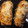 El cooksnap de Ramon cuando hizo Berenjenas al horno rellenas de carne.