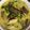 เย็นนี้กินอะไรดี ?'s cooksnap of when they made แกงเขียวหวานไก่.