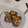 El cooksnap de LUIS RIZZI cuando hizo Colita de cuadril rellena.