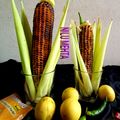 Nilu Mehta का कुकस्नैप जब उन्होंने भुना हुआ भुट्टा (Bhuna hua bhutta recipe in Hindi) बनाया था।
