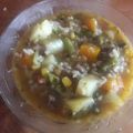 El cooksnap de Teresita Felíz cuando hizo Carbonada al estilo C.F.🇨🇱🇨🇱.