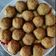 Disha Prashant Chavda's cooksnap of when they made ચુરમાના લાડુ (Churma na ladu Recipe in Gujarati.