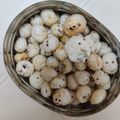 Nehal Bhatt's cooksnap of when they made રોસ્ટેડ મખાના (Roasted Makhana Recipe In Gujarati).