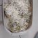 Cooksnap dari Elizabeth Dietha untuk resep Steamed Oat Cheese Cake