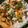 gayathri venkat's cooksnap of when they made Chicken dum biryani box.
