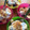 El cooksnap de @tesa.cuina cuando hizo Tutti frutti con yogurt griego.