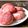 Cooksnap dari Wenny Yudi, S.Psi, MM. untuk resep Bomboloni Buah Naga