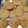El cooksnap de Blanca Ramirez cuando hizo Chocolate chip cookies.